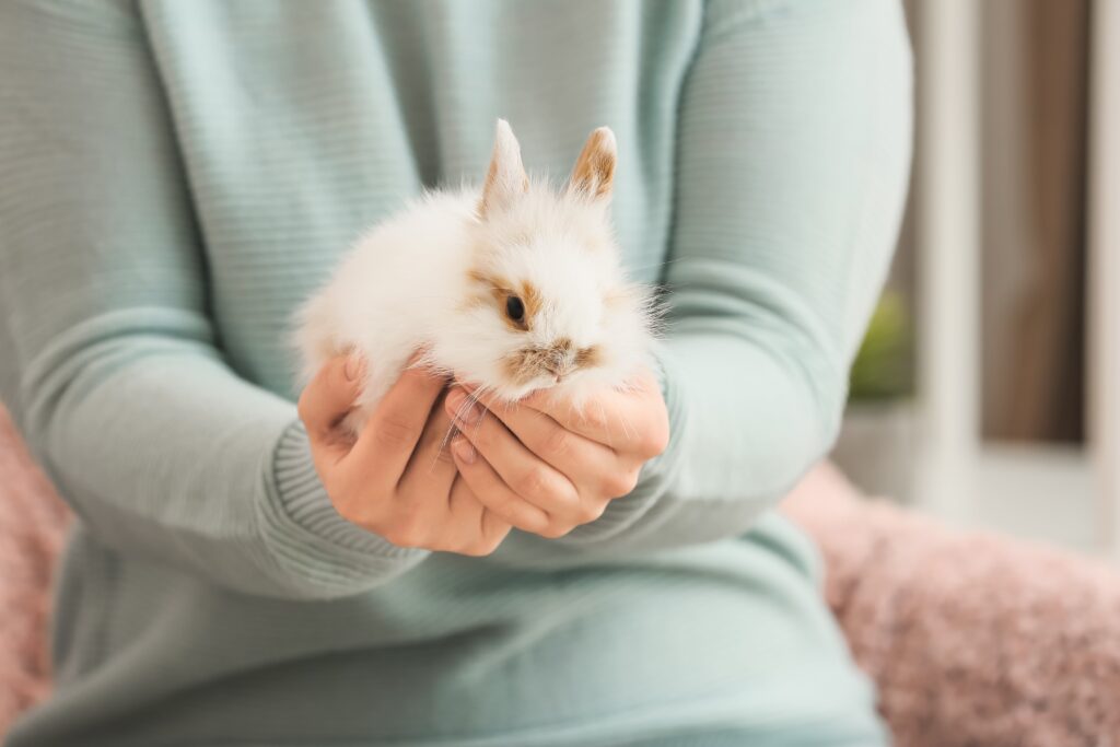 woman holding a fluffy bunny
