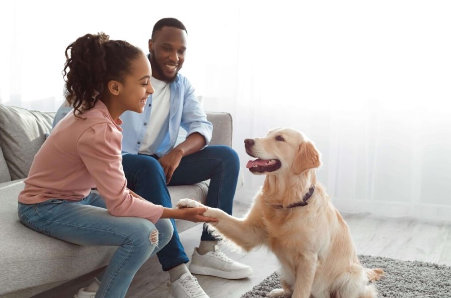 family with their dog how-many-emotional-support-animals-can-i-have
