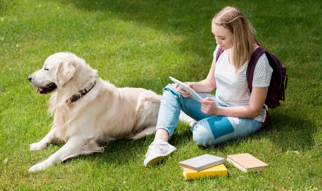 College student girl reading on campus with service dog renewing her Service Dog Letter Online