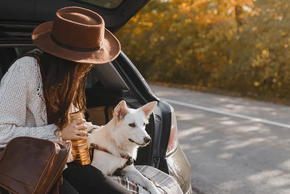 A woman sits in the back of her station wagon with her emotional support dog. 