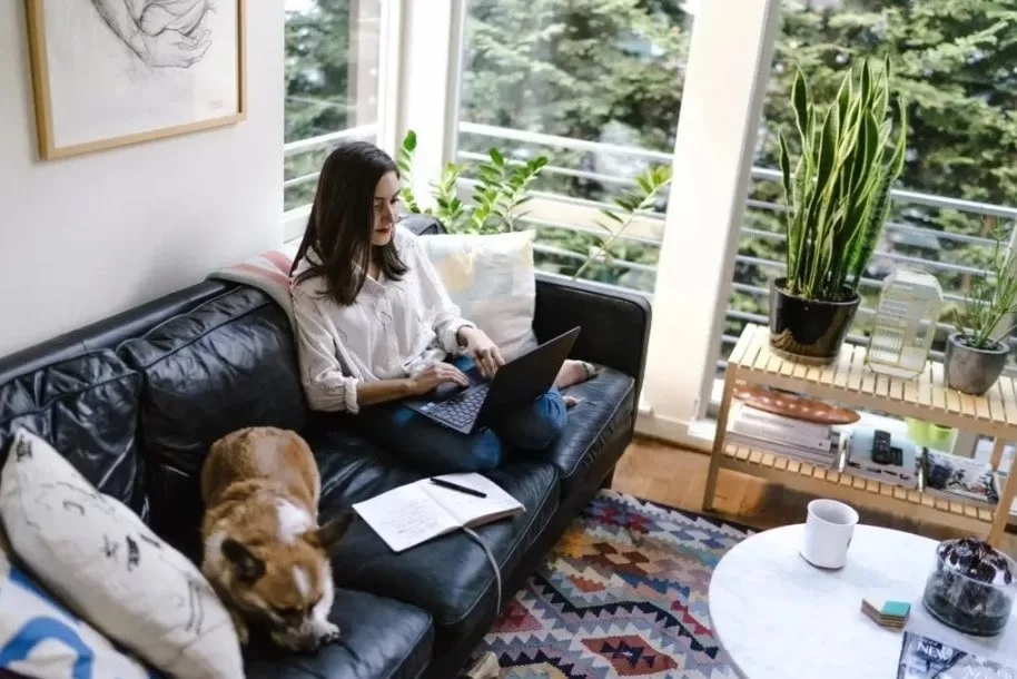A woman works on her laptop on the couch while her emotional support dog lays next to her. 