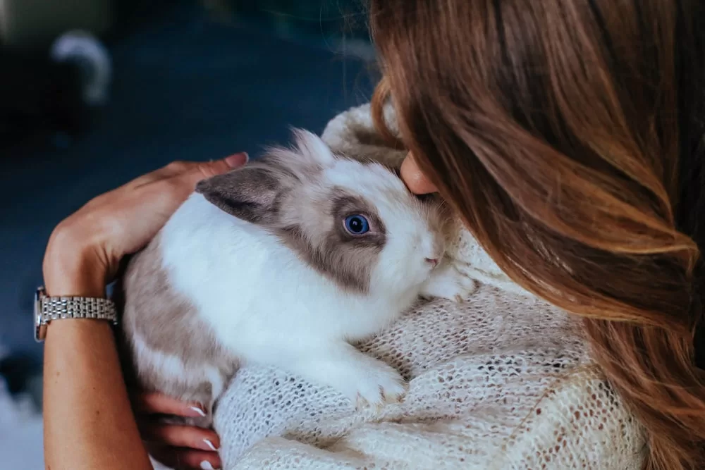 A cute bunny looks up into his human's eyes with a caring and supportive demeanor while being cradled in her arms. 