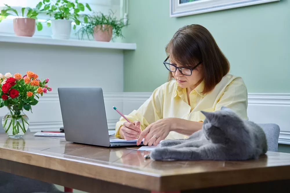 A woman works near her laptop while her grey cat ESA looks on. 